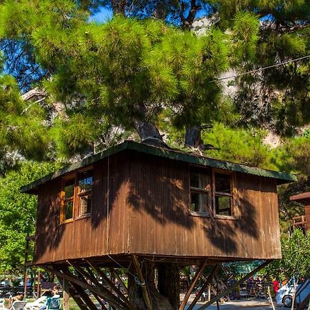 فندق Gorge Club ساكليكنت الغرفة الصورة