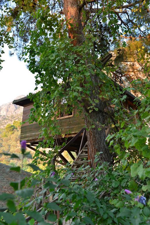 فندق Gorge Club ساكليكنت الغرفة الصورة