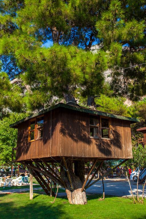 فندق Gorge Club ساكليكنت الغرفة الصورة