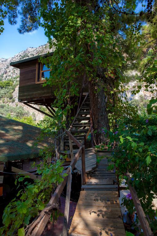 فندق Gorge Club ساكليكنت الغرفة الصورة