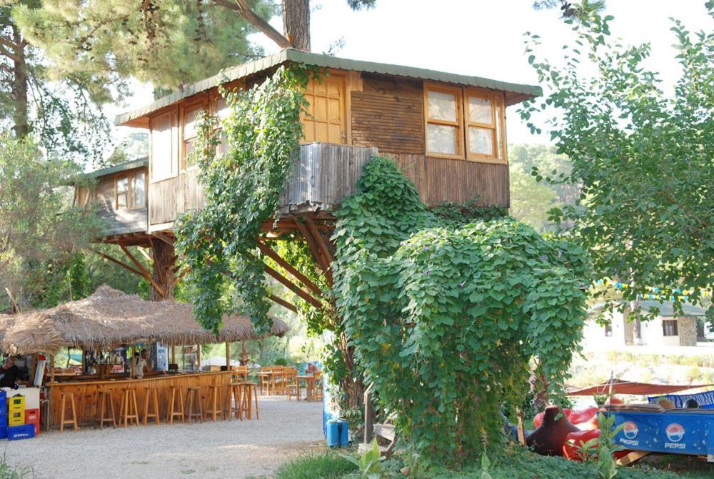 فندق Gorge Club ساكليكنت الغرفة الصورة